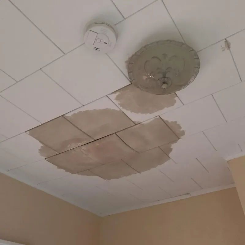 Ceiling Water Damage Repair in Light Street, PA
