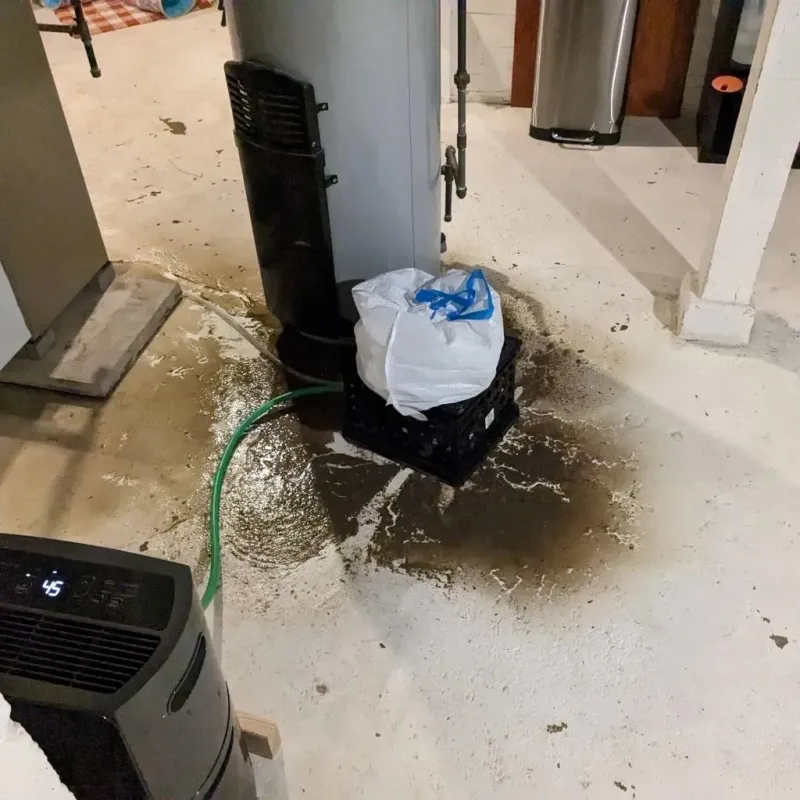 Sewage Backup Cleanup Service in Light Street, PA